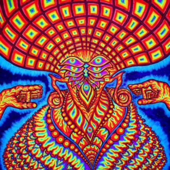 The dream syndicate - The universe inside 2 LP's