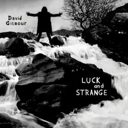 David Gilmour - Luck and strange - LP