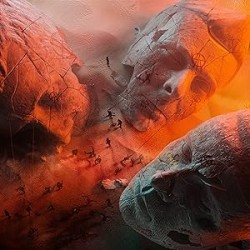 Muse - Will of the people - LP