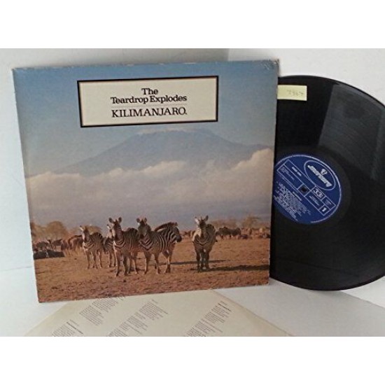 The Teardrop Explodes - Kilimanjoro - LP
